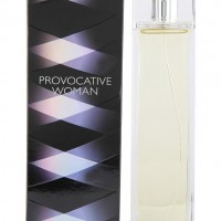 Provocative woman best sale elizabeth arden 100ml